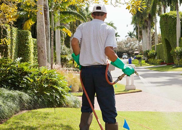 About Frisco TX Pest Control